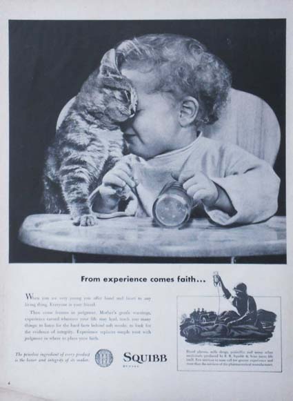 ad/cat&baby.jpg