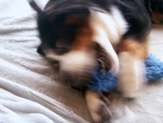 0829_2.jpg