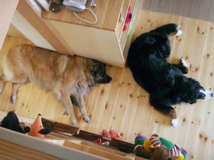 100519_3.jpg