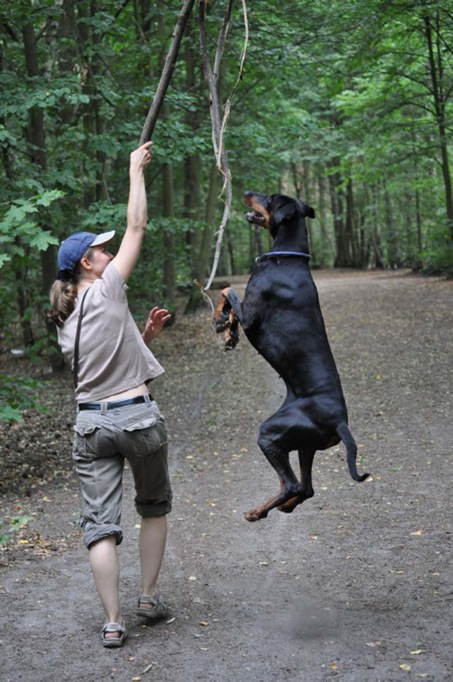 191010_dog_fishing.jpg