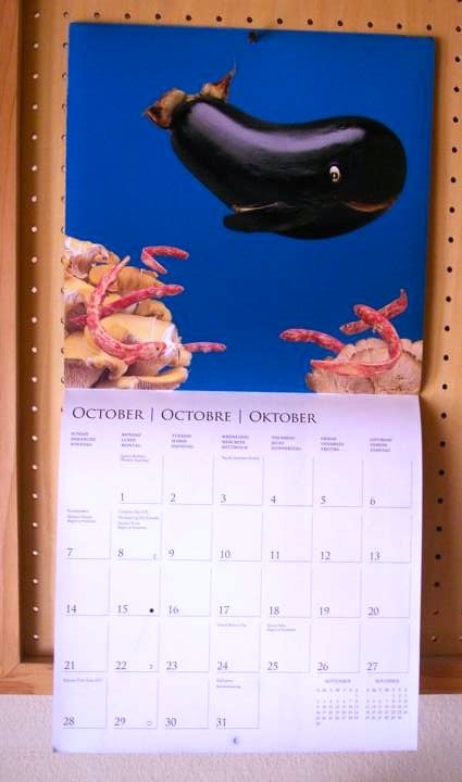2012_10.jpg