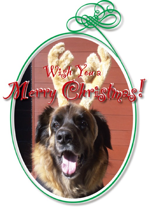 2013rosy_merryXmas_blog.jpg