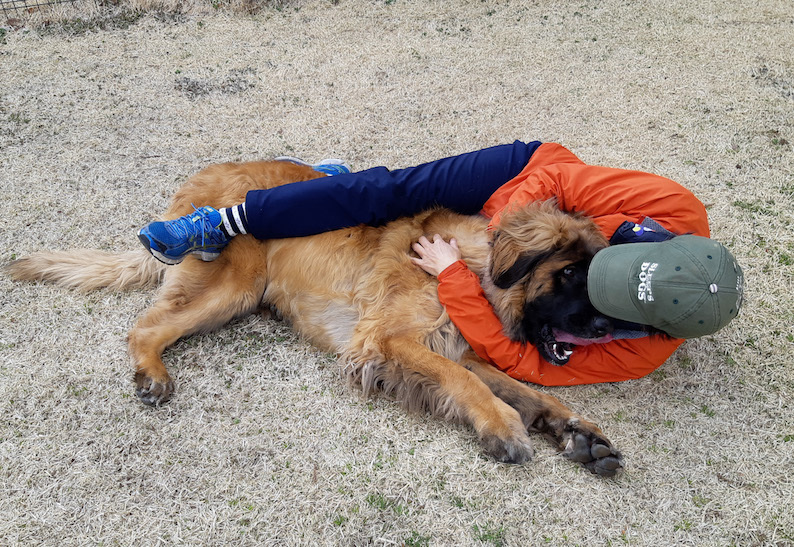 20190314_121023_ともはちしめ_FB.jpg