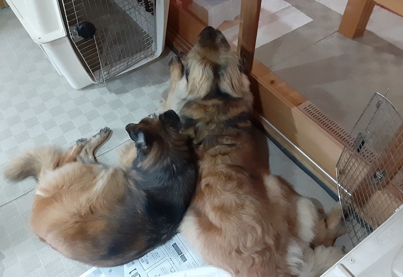 20200918_062333_玉八土間.jpg
