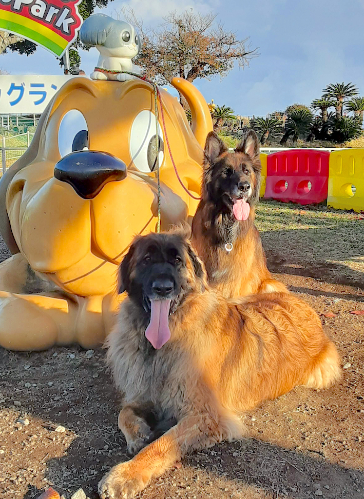 20201119_玉八ラン前_FB.jpg