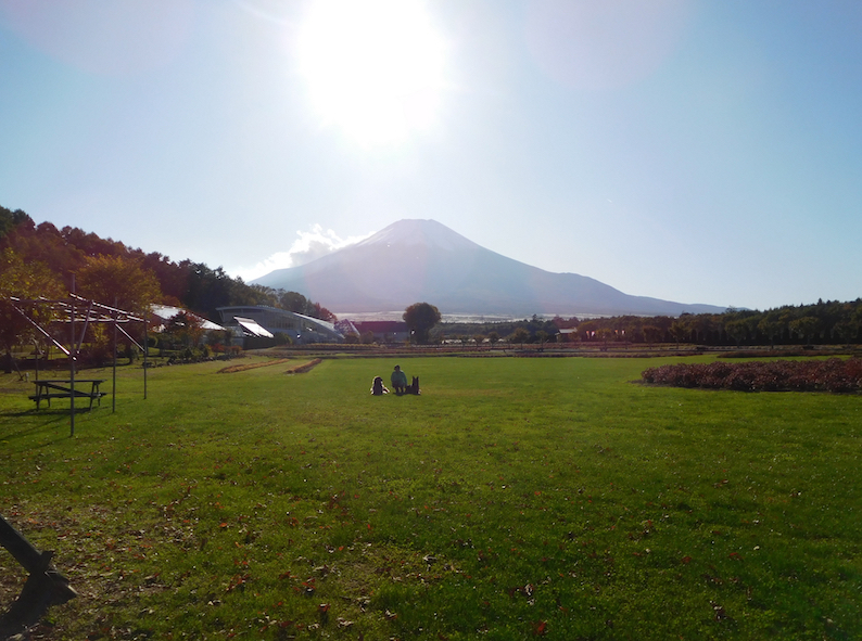 DSCN0072_のぶ玉八花の都公園富士_FB.jpg
