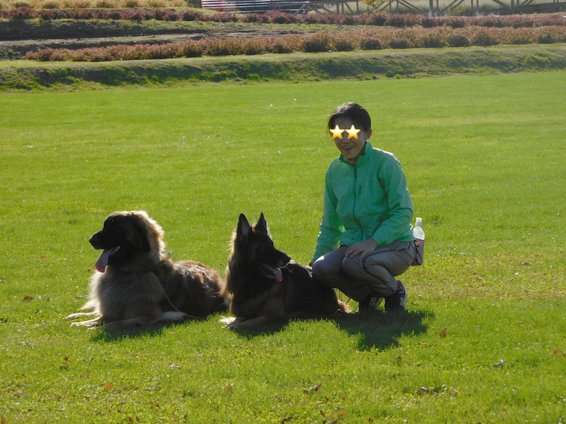 DSCN0075_のぶ玉八花の都公園逆光_FB.jpg