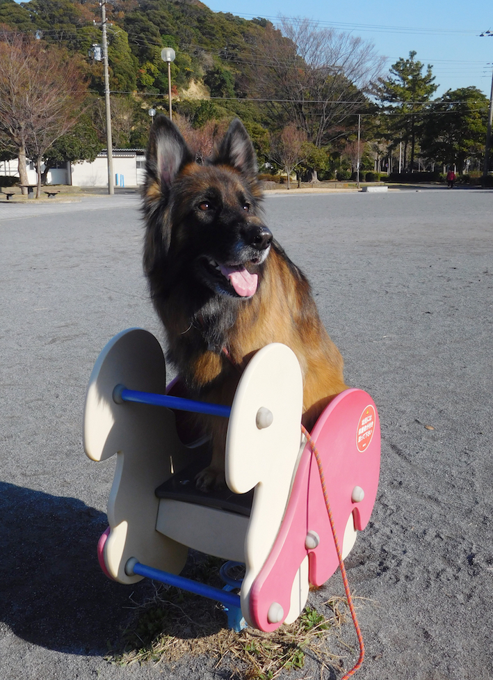 DSCN0382_たまかめ_FB.jpg