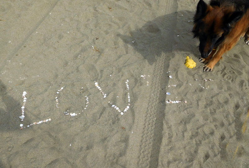 DSCN0849_LOVEみっけ_FB.jpg