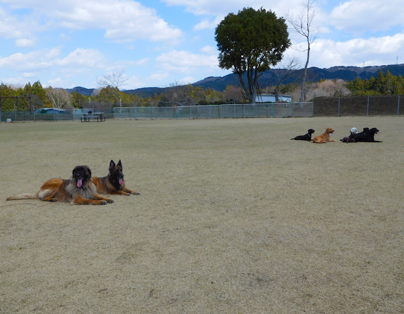 DSCN0974_ただいま休憩ちう_FB.jpg