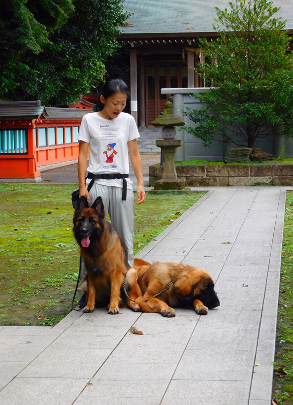 DSCN1126_のぶたまはち八幡宮_BLOG.jpg