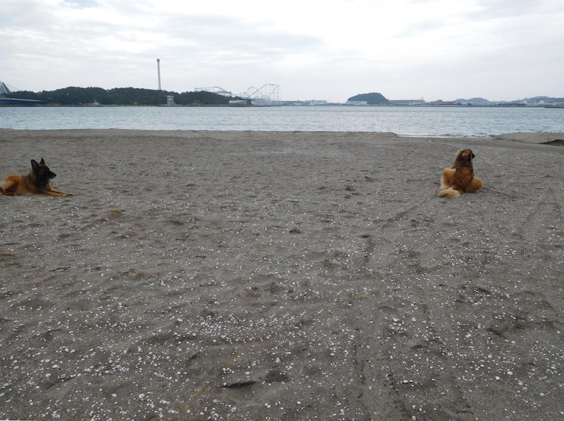 DSCN1745_玉八離れすぎ_FB.jpg