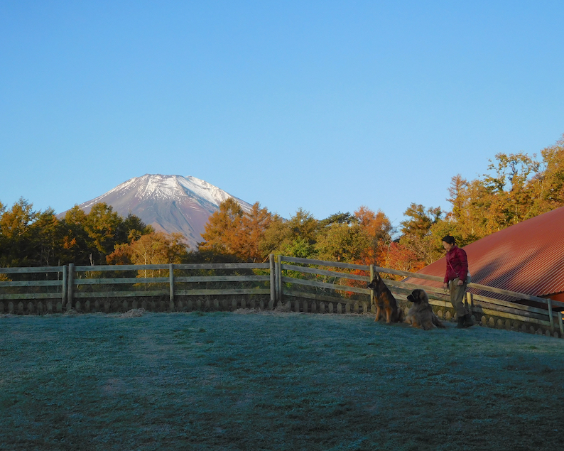 DSCN1988_のぶ玉八富士山_FB.jpg