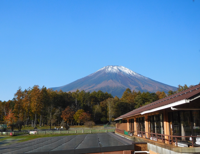 DSCN1997_ワフから富士山_FB.jpg