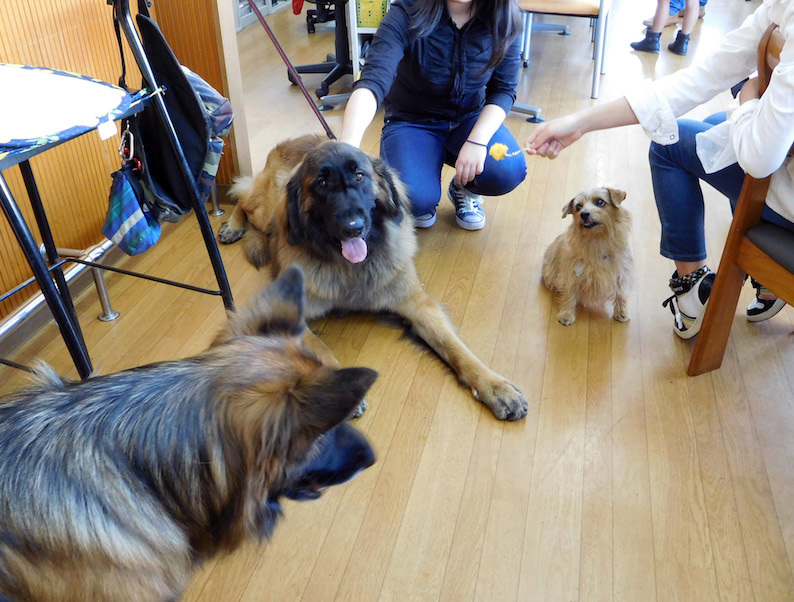 DSCN4785_テスハチハル_FB.jpg