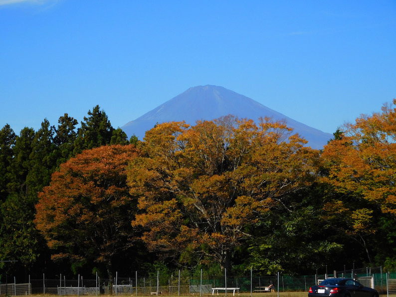 DSCN4809_フジヤマ_FB.jpg