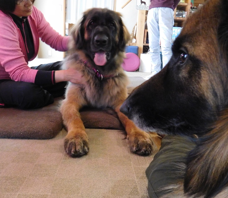DSCN5780_玉八ケア_FB.jpg