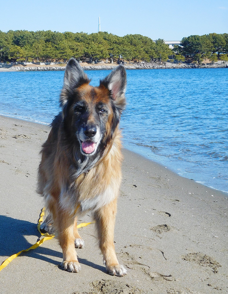 DSCN6370_eXr[`ďΊ炩_FB.jpg