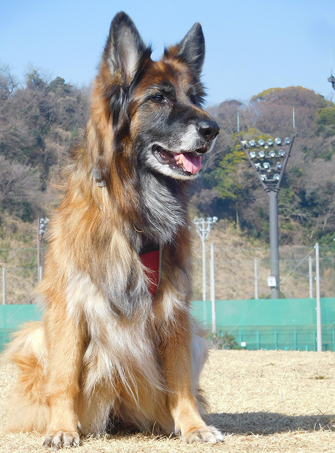 DSCN6461_eXȕ_FB.jpg