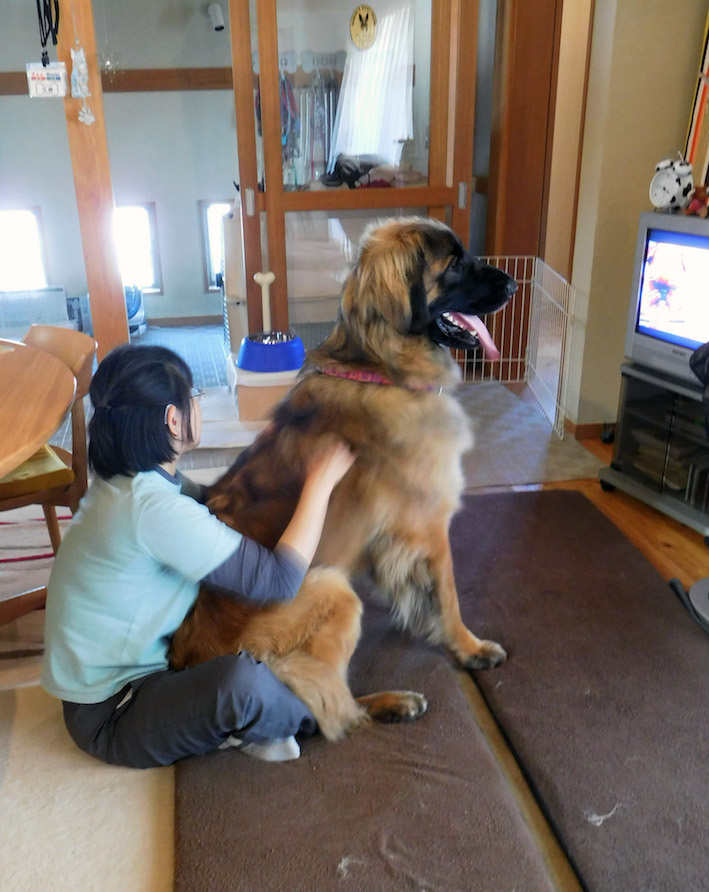 DSCN6544_八ケア_FB.jpg