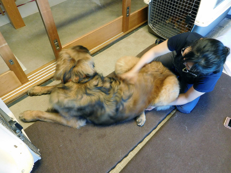 DSCN7098_八マッサージちう_FB.jpg