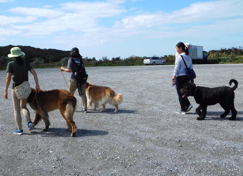 DSCN7372_OPW準備スタート_FB.jpg