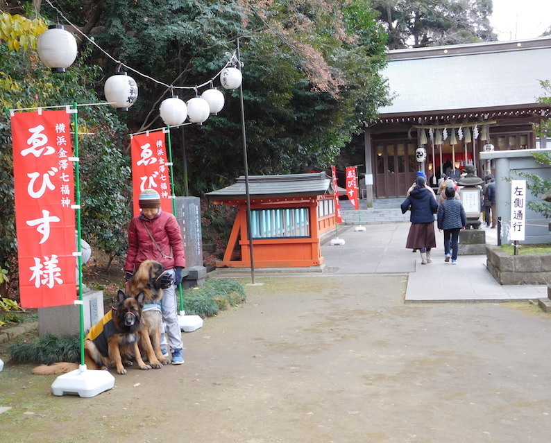 DSCN8089_のぶ玉八_八幡宮_FB.jpg