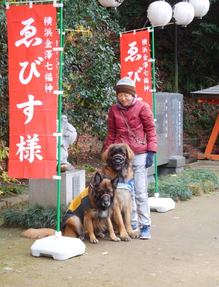 DSCN8090_のぶ玉八えびすさま_FB.jpg