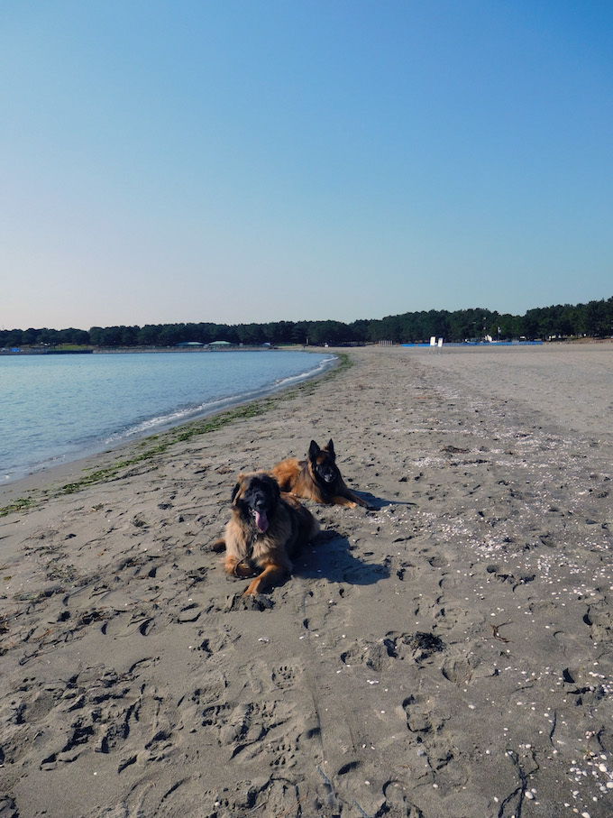 DSCN8600_玉八ビーチ遠景_FB.jpg