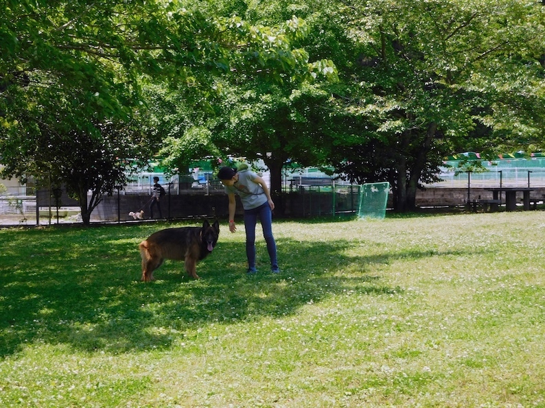 DSCN9141_のぶ玉ナチュラル木陰_FB.jpg