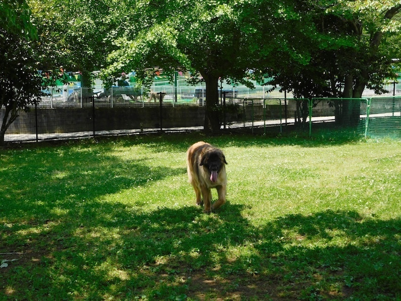 DSCN9143_八ラン_FB.jpg