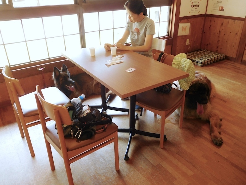 DSCN9150_のぶ玉八カフェいいこ_FB.jpg