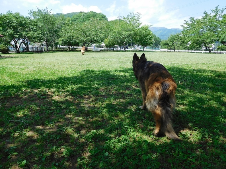 DSCN9161_玉狙い八遠く_FB.jpg
