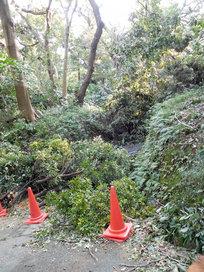 DSCN9744_展望台への入り口_FB.jpg