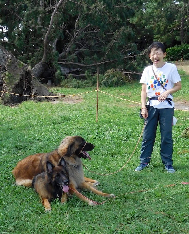 DSCN9796_根こそぎ松のぶ玉八_FBFB.jpg
