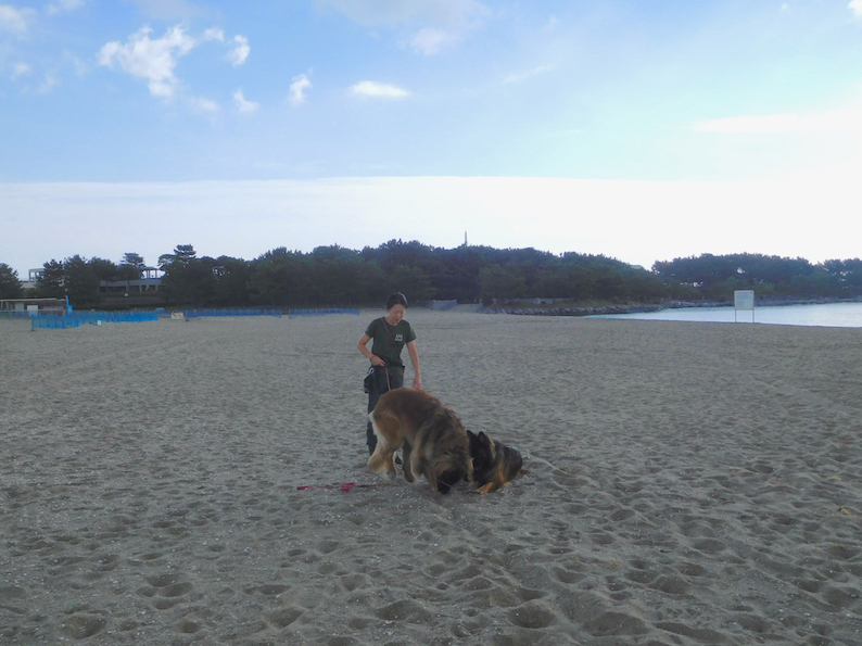 DSCN9847_ノブ玉八ビーチ_FB.jpg