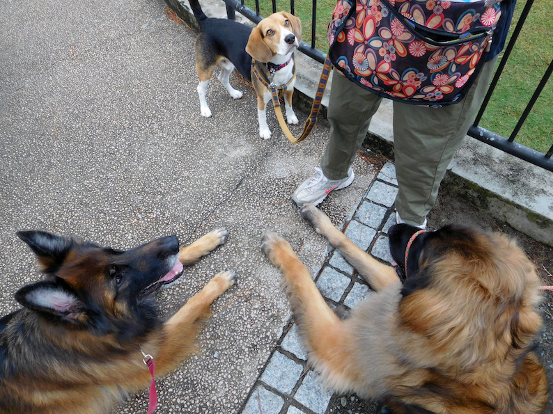 DSCN9885_玉八ベンおやつ待ち_FB.jpg