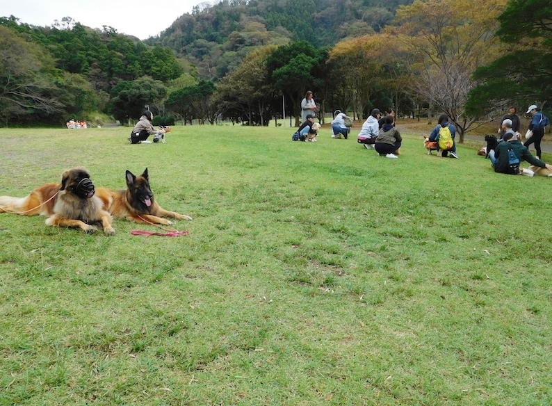 DSCN9944_玉八PW芝生広場_FB.jpg