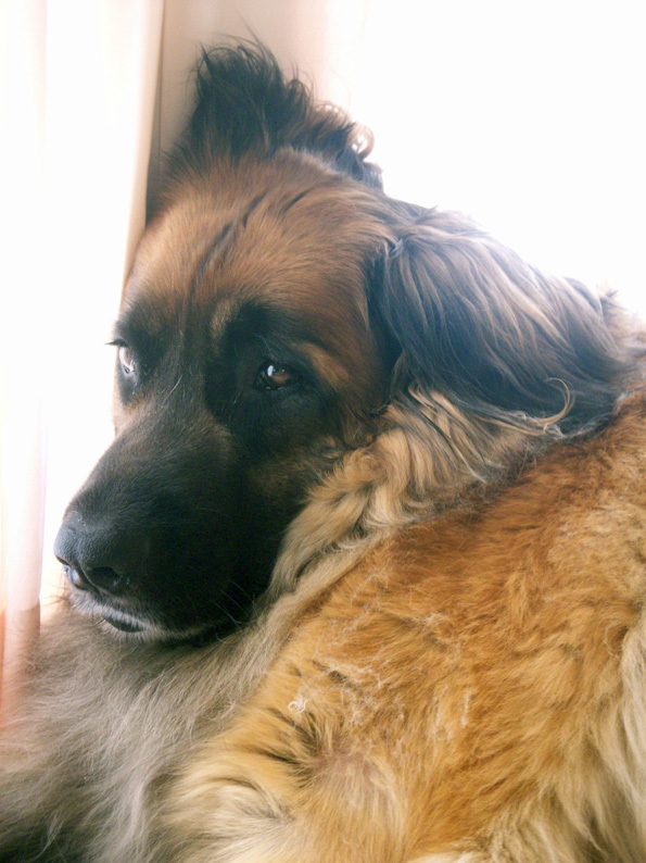 くま寝PICT3058_BLOG.jpg