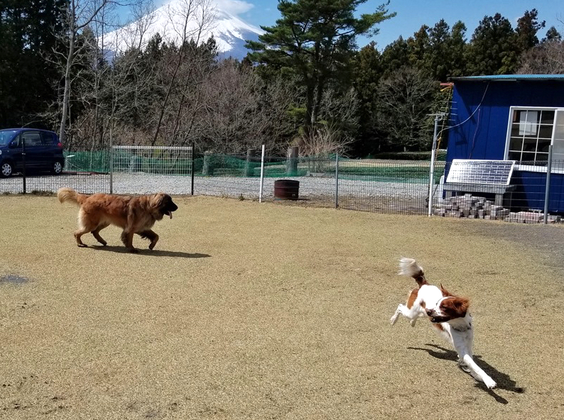 ハチエギ_FB.jpg