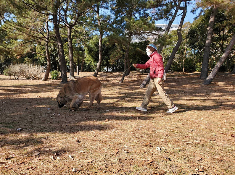 ハチノーズサーチ2.jpg