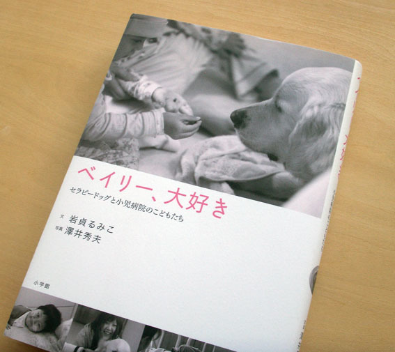 ベイリーPICT0080.jpg
