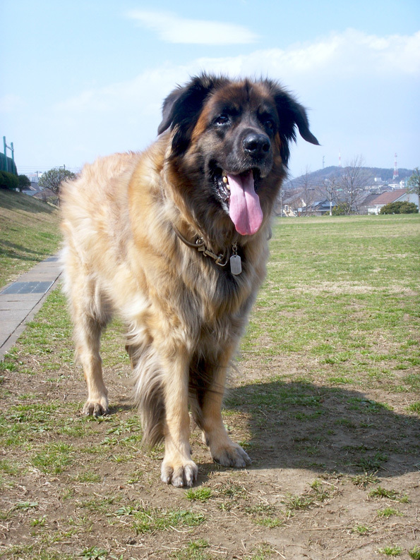 西公園であは〜〜PICT0030_BLOG.jpg