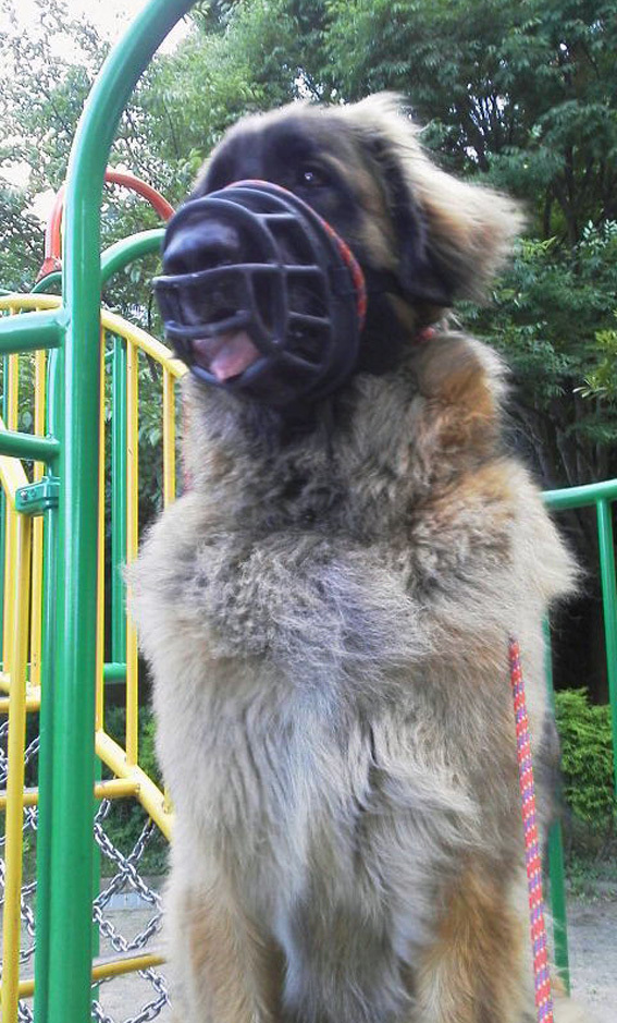 P1000309_八すべりだい.jpg