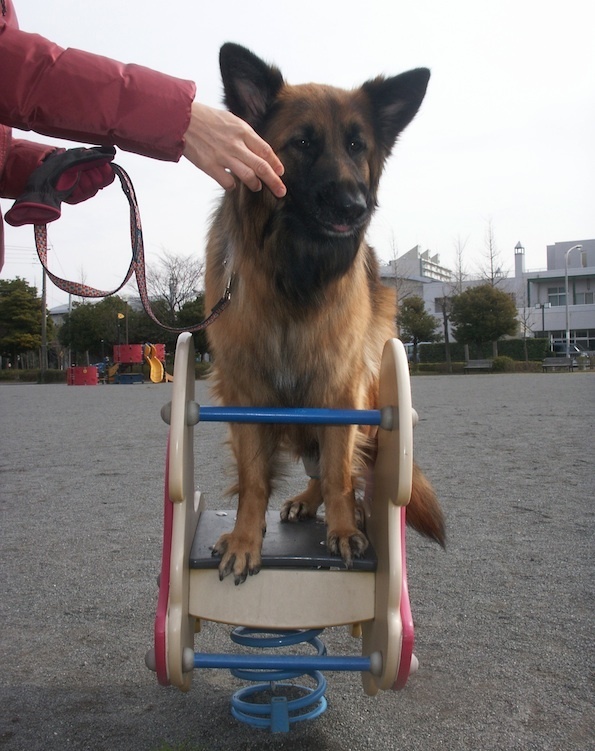 PICT0204_かめたま立って_BLOG.jpg