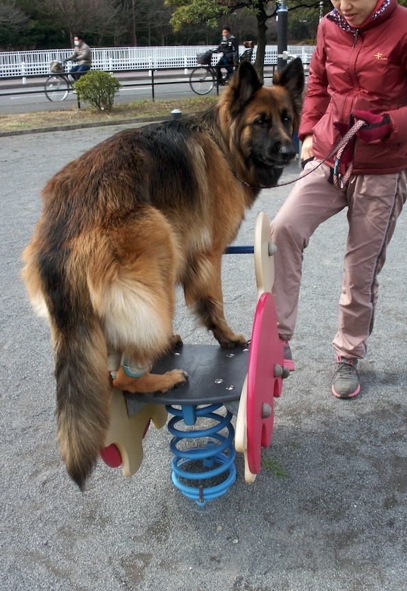 PICT0205_かめたま見返り_BLOG.jpg
