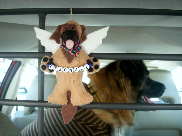 angel_2.jpg
