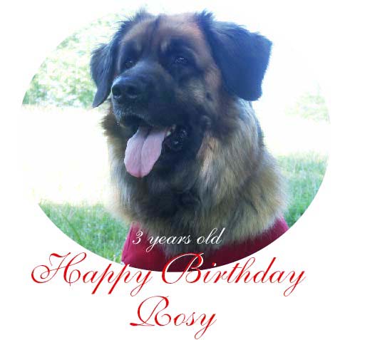 birthday rosy.jpg