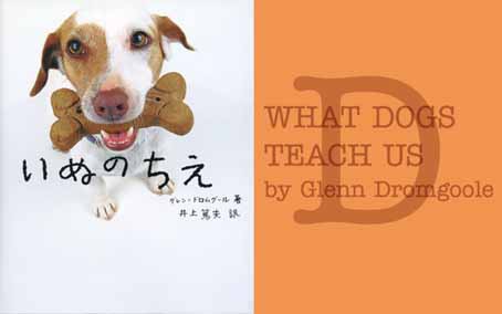 dog teach us1.jpg