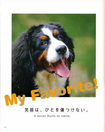 dog teach us3.jpg